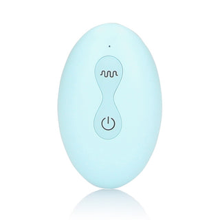 Remote Control Panty Vibrator