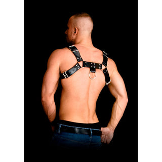 Costas Armor 2 Bonded Leather Harness One Size